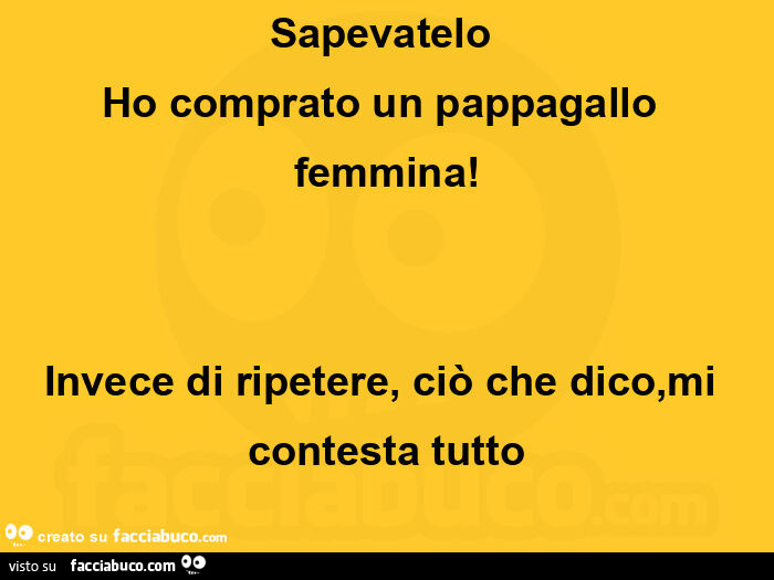 Sapevatelo Ho comprato un pappagallo femmina! Invece di ripetere, ciò che dico, mi contesta tutto