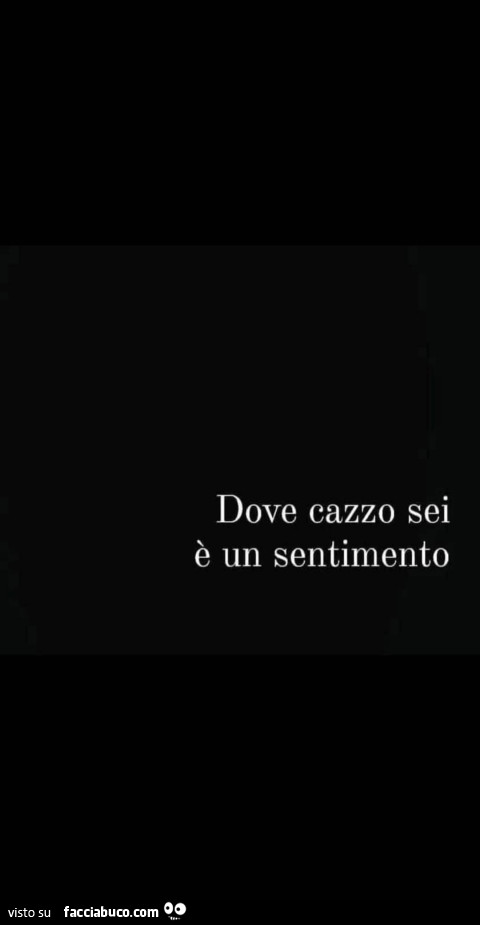 Dove cazzo sei è un sentimento