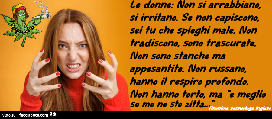 Le donne: non si arrabbiano, si irritano. Se non capiscono. Sei tu che spieghi male
