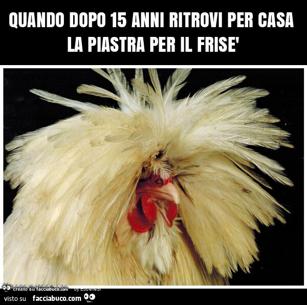 Quando dopo 15 anni ritrovi per casa la piastra per il frisรจ