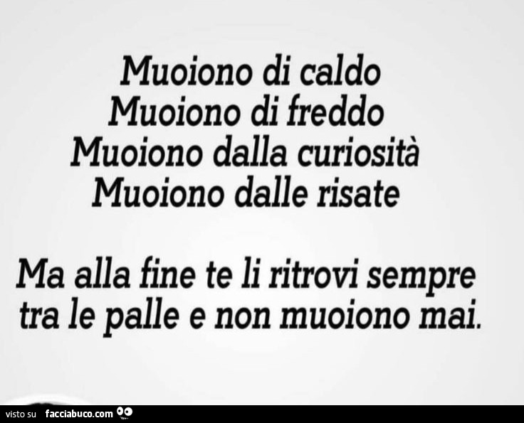 Muoiono di caldo muoiono di freddo muoiono dalla curiosità muoiono dalle risate ma alla fine te li ritrovi sempre tra le palle e non muoiono mai