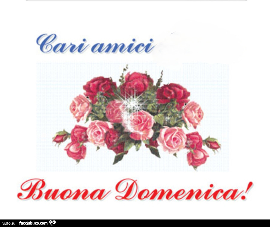 Cari amici buona Domenica