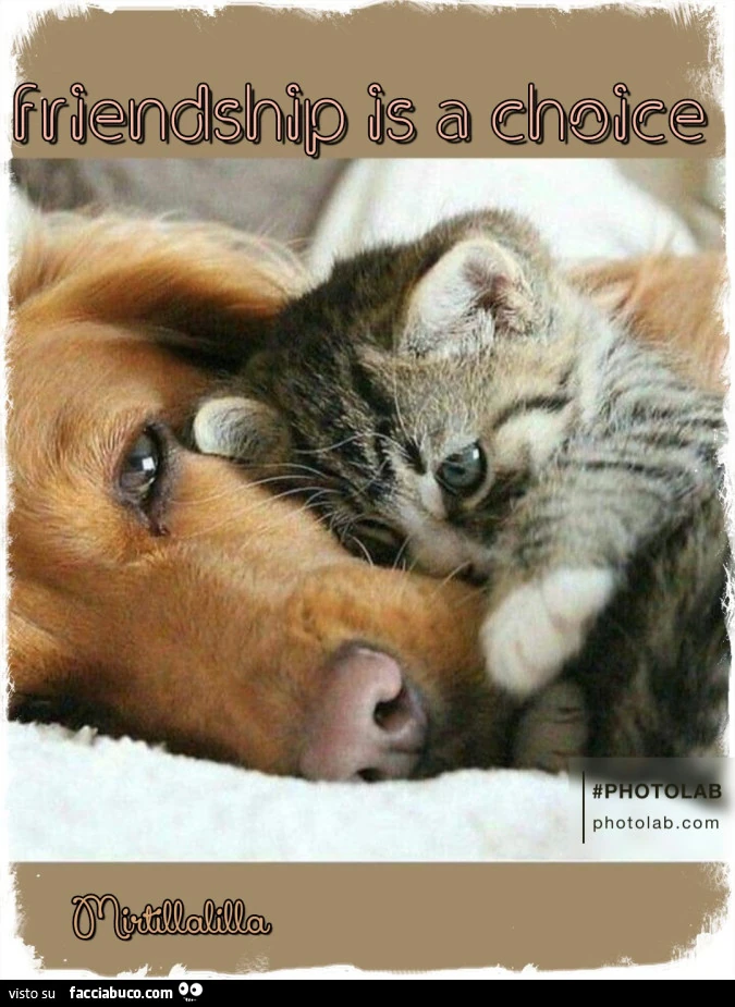L'amicizia per me