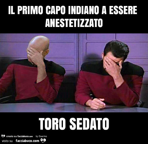 Il primo capo indiano a essere anestetizzato toro sedato