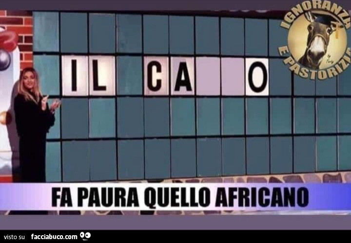 Vaccata