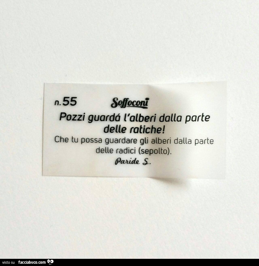 Pozzi guardà l'alberi dalla parte delle ratiche! Che tu possa guardare gli alberi dalla parte delle radici (sepolto)