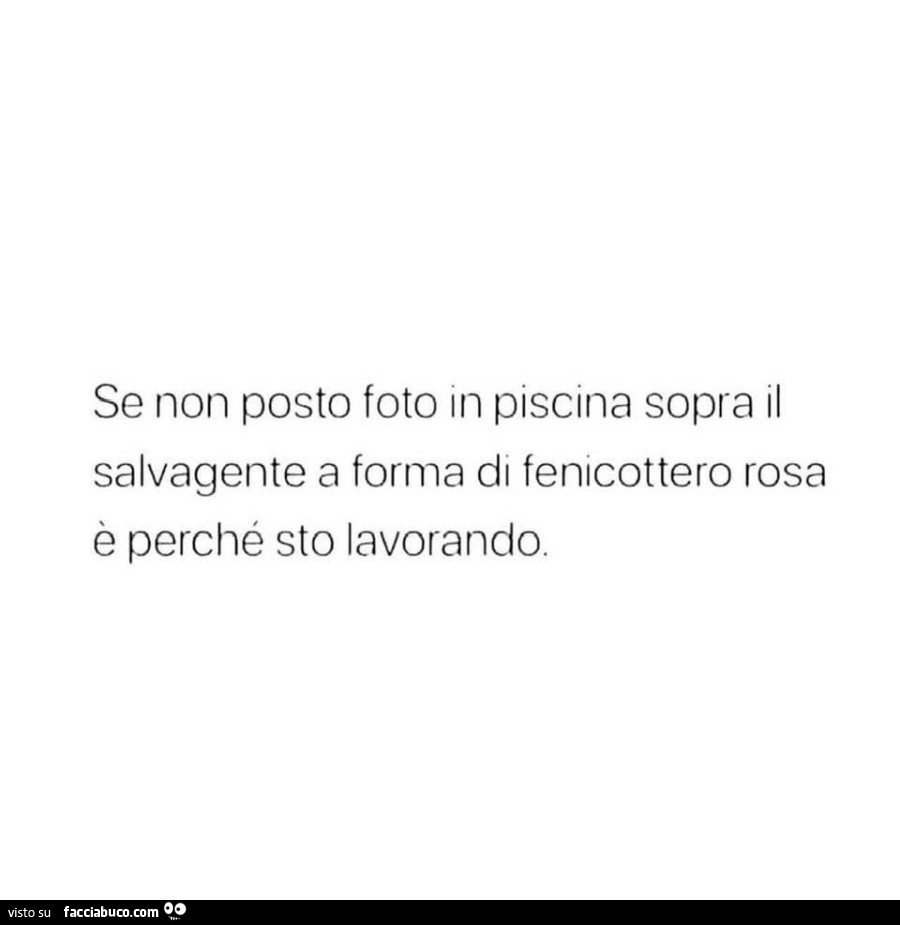 Se non posto foto in piscina sopra il salvagente a forma di fenicottero rosa è perché sto lavorando