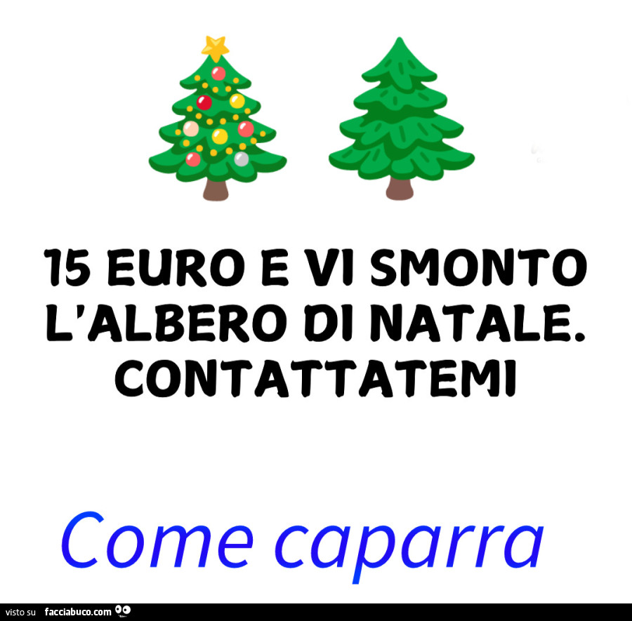 15 euro e vi smonto l'albero di natale. Contattatemi