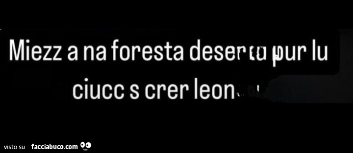 Miezz a na foresta deserta pur lu ciucc s crer leon