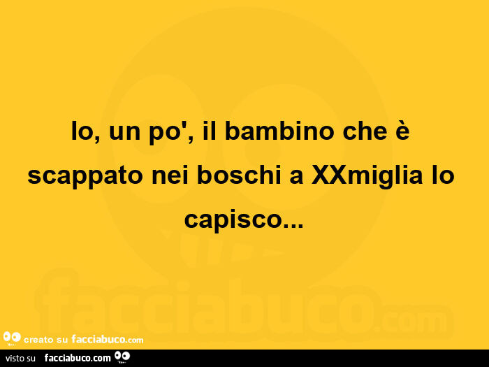 Io, un po', il bambino che è scappato nei boschi a xxmiglia lo capisco