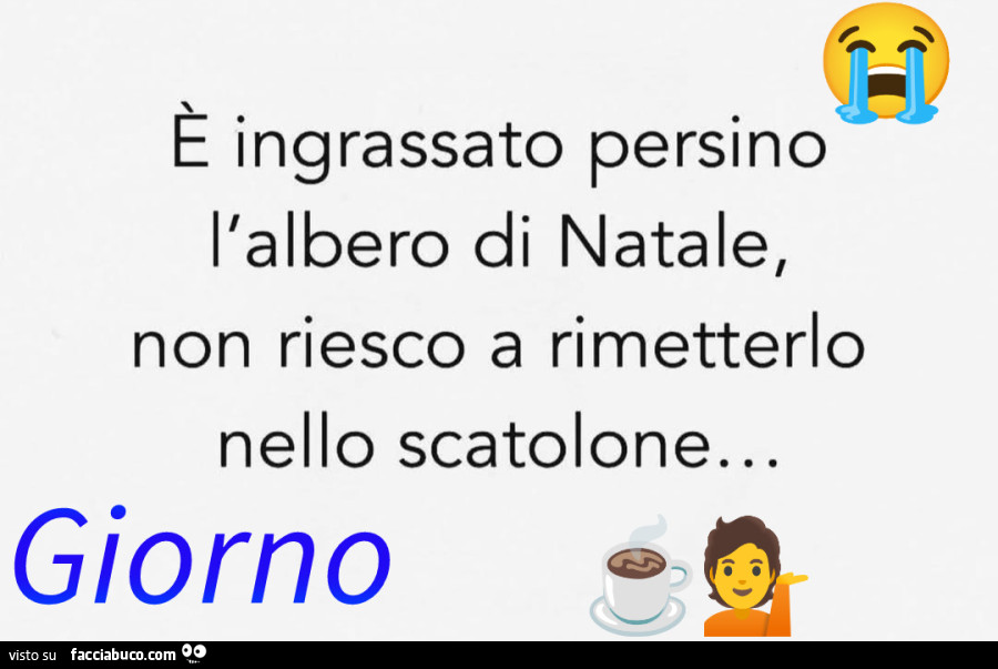 È ingrassato persino l'albero di natale, non riesco a rimetterlo nello scatolone… giorno