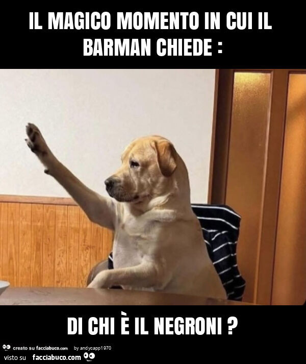 Il magico momento in cui il barman chiede: di chi è il negroni?