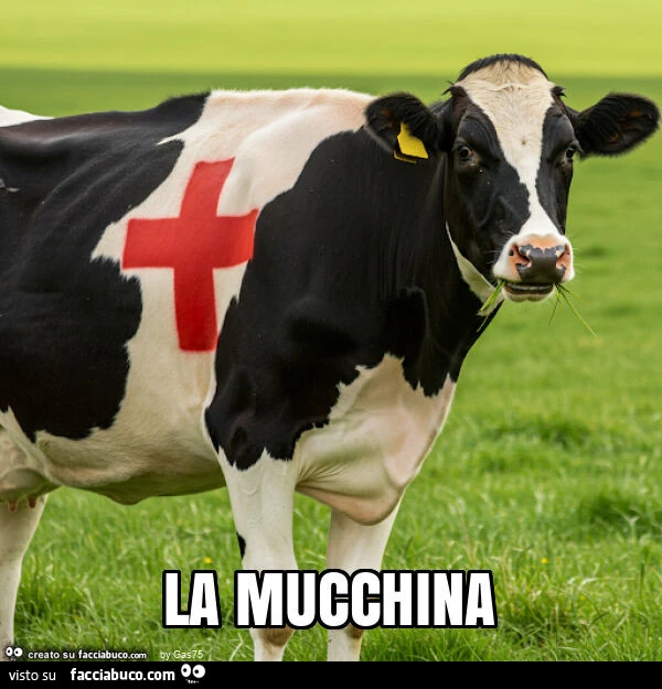 La mucchina