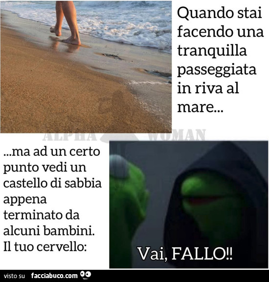 Vaccata