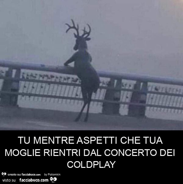 Tu mentre aspetti che tua moglie rientri dal concerto dei coldplay