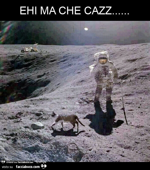 Ehi ma che cazz