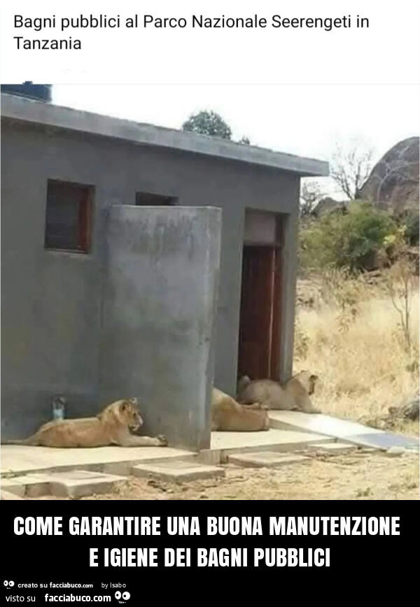 Bagni pubblici al parco nazionale seerengeti in tanzania leoniCome garantire una buona manutenzione e igiene dei bagni pubblici