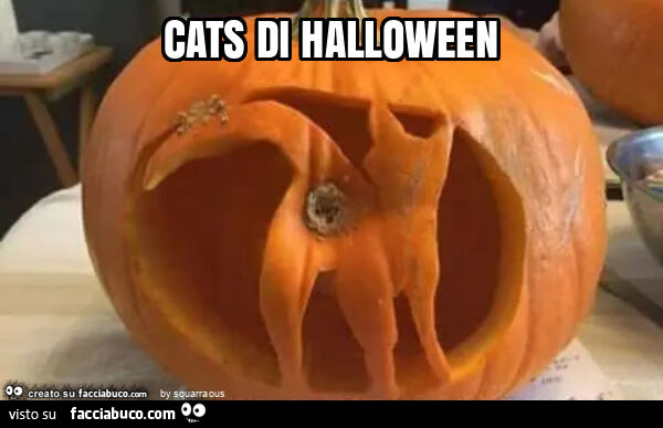 Cats di halloween