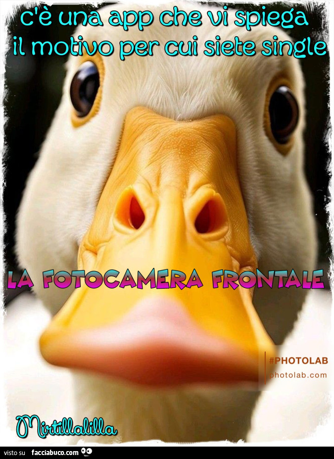 Telecamera frontale