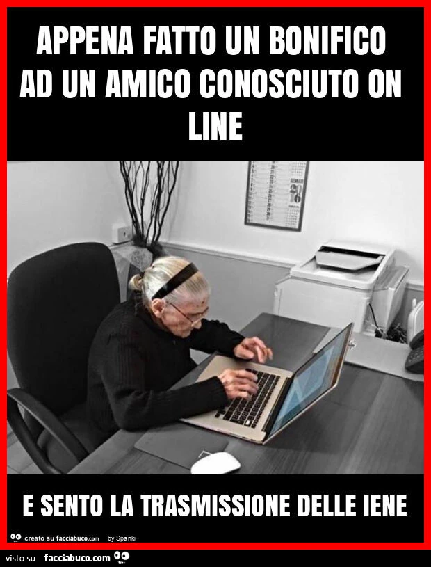 Appena fatto un bonifico ad un amico conosciuto on line e sento la trasmissione delle iene