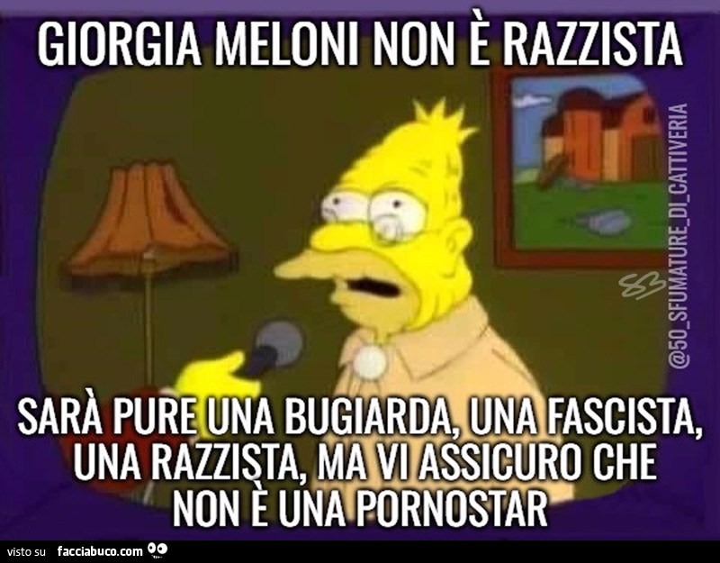 Giorgia Meloni non è razzista