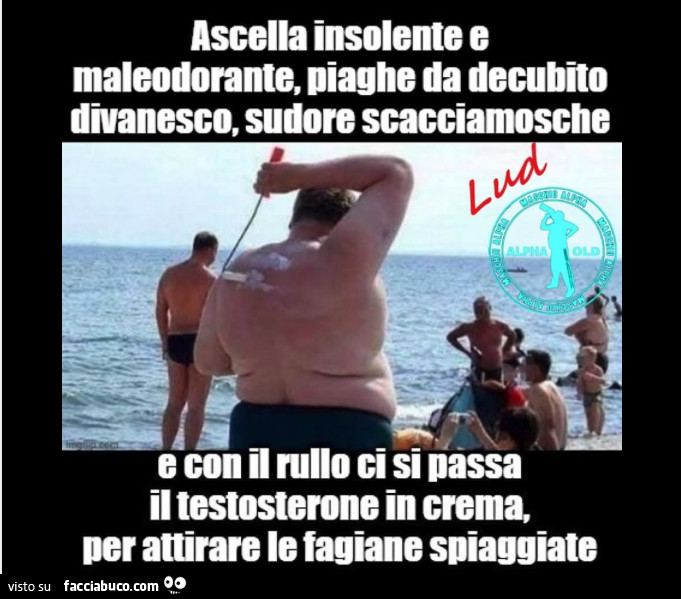 Vaccata