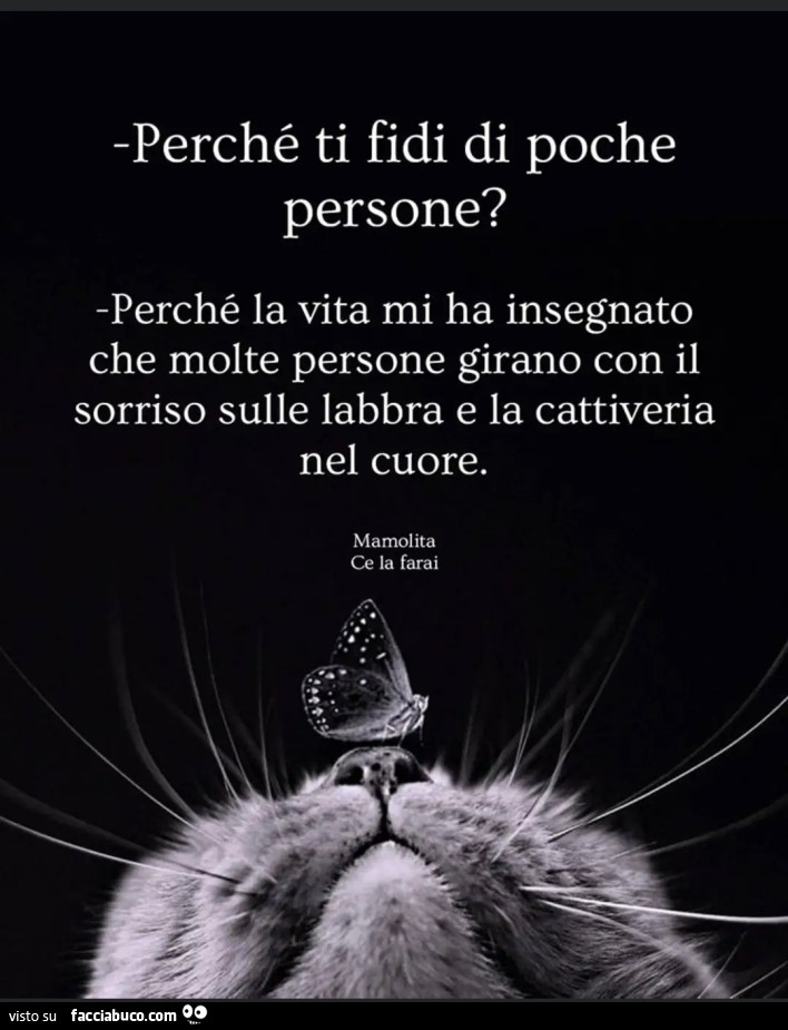 Perché ti fidi di poche persone? Perché la vita mi ha insegnato che molte persone girano con il sorriso sulle labbra e la cattiveria nel cuore