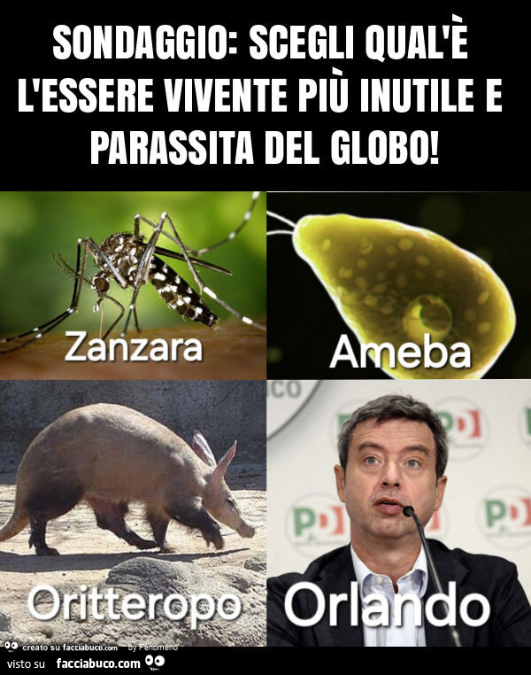 Sondaggio: scegli qual'è l'essere vivente più inutile e parassita del globo