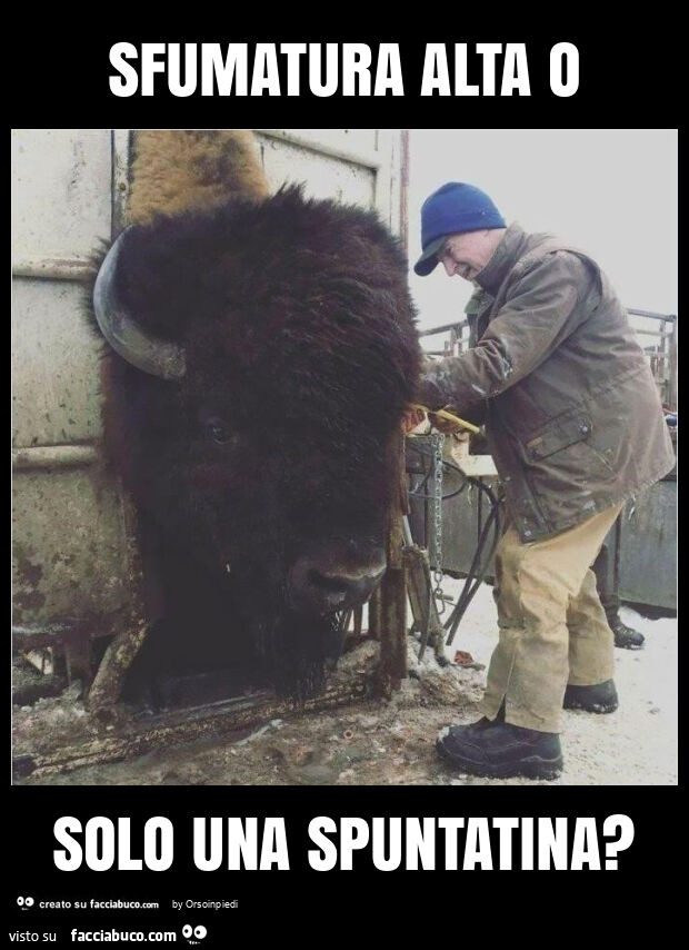 Sfumatura alta o solo una spuntatina?