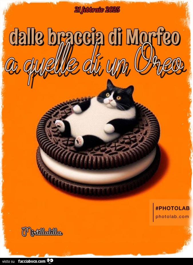 Dalle braccia di Morfeo a quelle di un Oreo