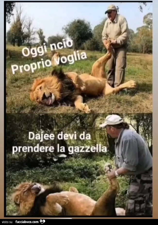 Oggi non c'ho proprio voglia dajee devi prendere la gazzella