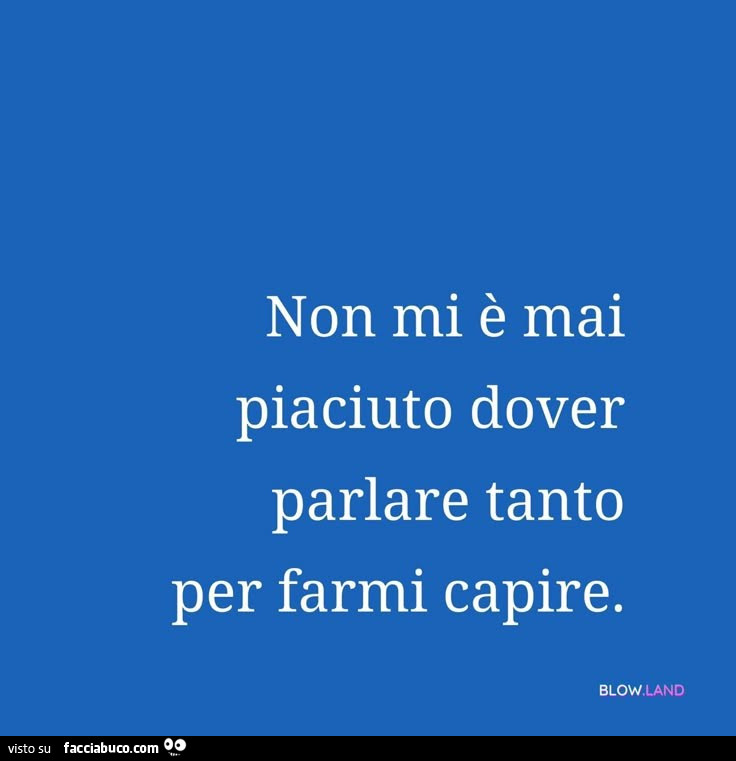 Non mi è mai piaciuto dover parlare tanto per farmi capire