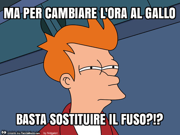 Ma per cambiare l'ora al gallo basta sostituire il fuso?!?