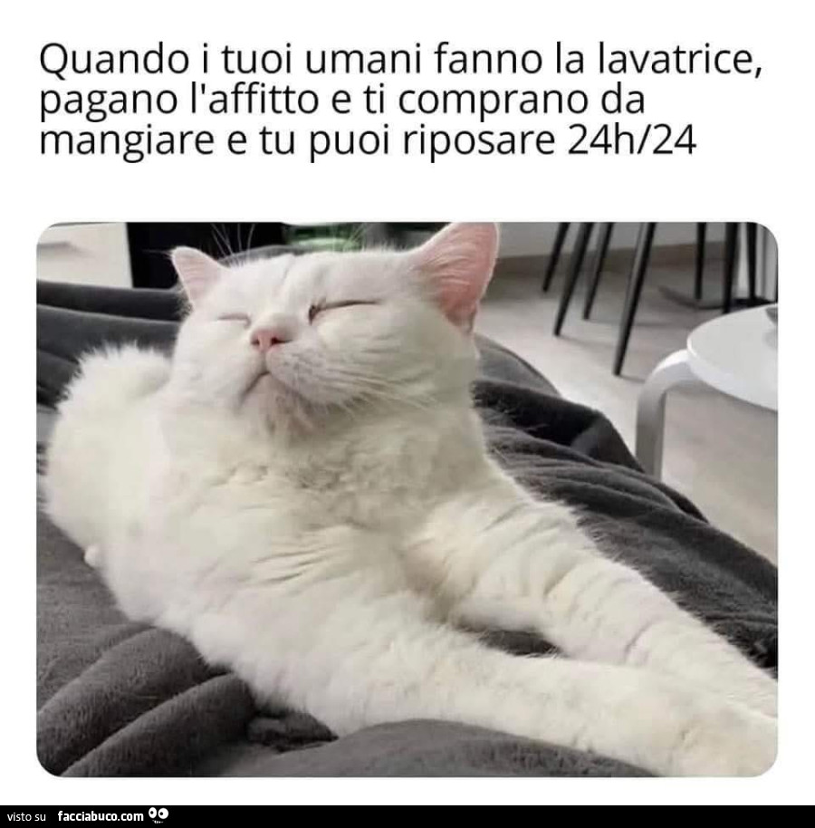 Vaccata