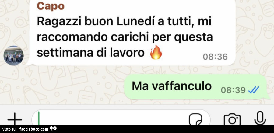 Capo ragazzi buon lunedi a tutti, mi raccomando carichi per questa settimana di lavoro. Ma vaffanculo