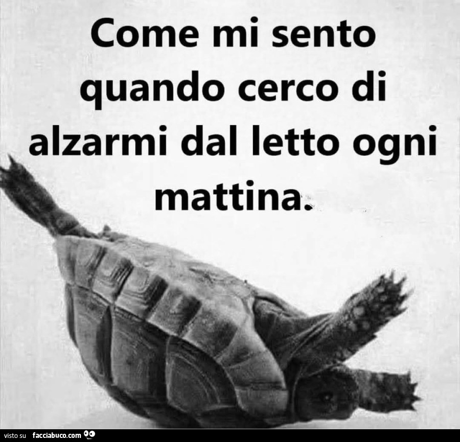 Come mi sento quando cerco di alzarmi dal letto ogni mattina tartaruga