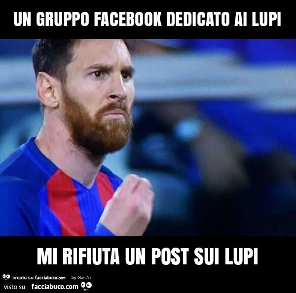Un gruppo facebook dedicato ai lupi mi rifiuta un post sui lupi