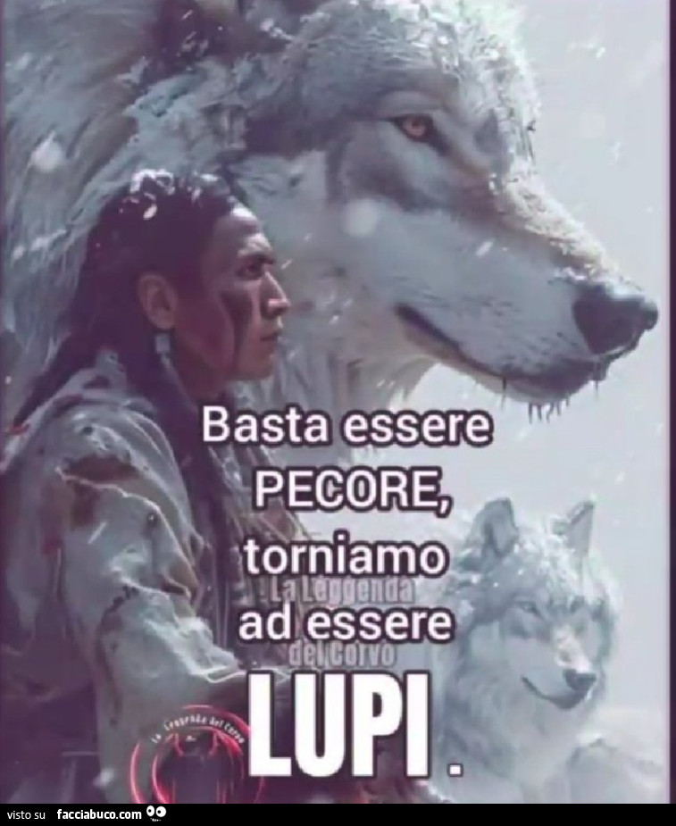 Lupi e pecore