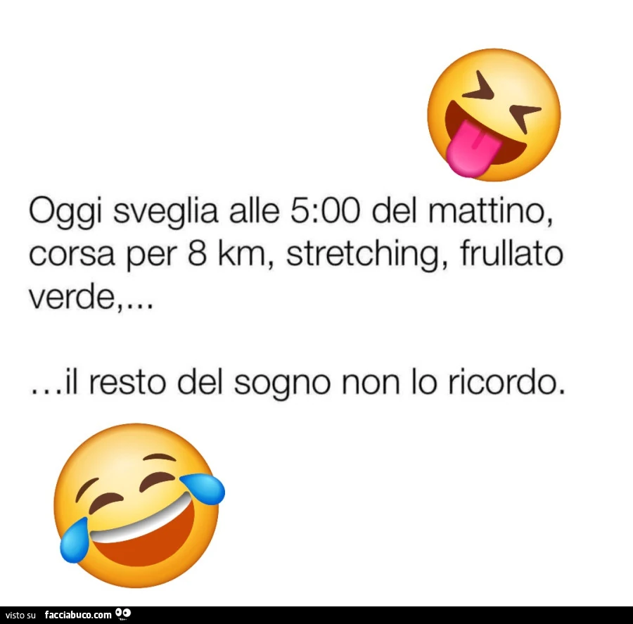 Oggi sveglia alle 5 del mattino, corsa per 8 km, stretching, frullato. Il resto del sogno non lo ricordo