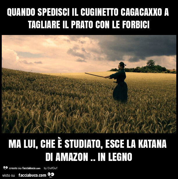 Quando spedisci il cuginetto cagacaxxo a tagliare il prato con le forbici ma lui, che รจ studiato, esce la katana di amazon. In legno