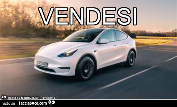 Vendesi