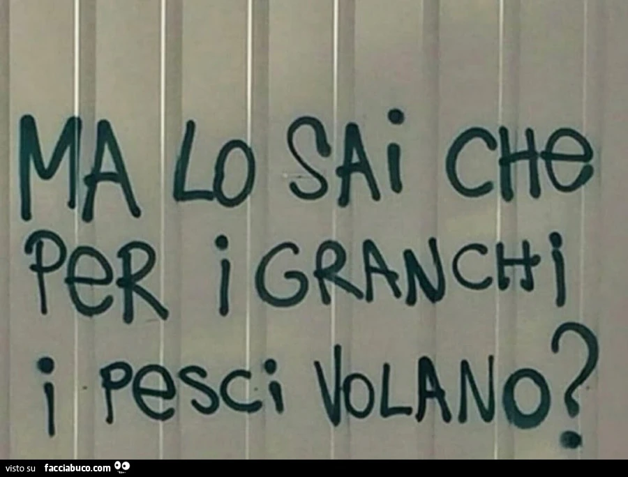 Pesci