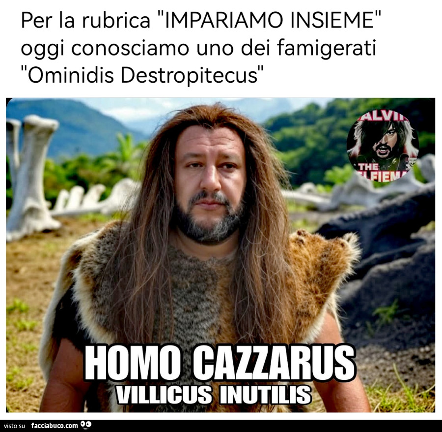 Vaccata