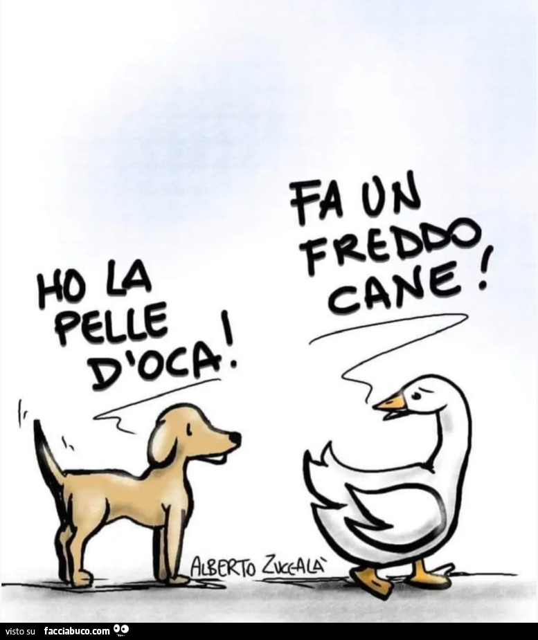 Ho la pelle d'oca fa un freddo cane vignetta