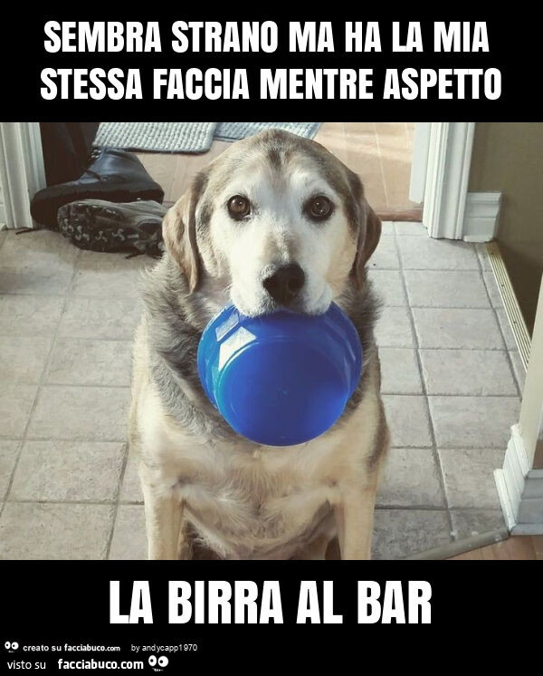 Sembra strano ma ha la mia stessa faccia mentre aspetto la birra al bar