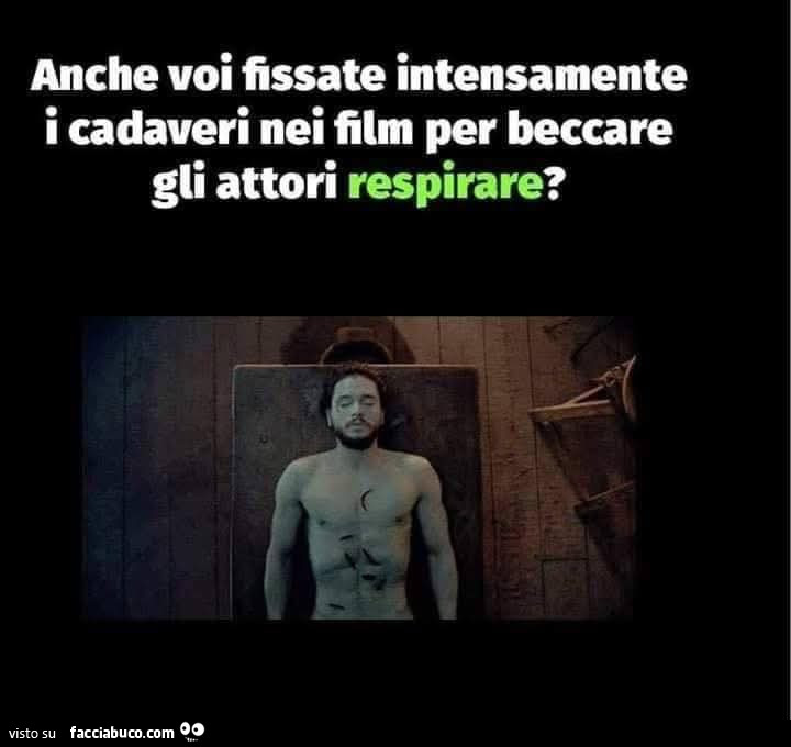 Fissare