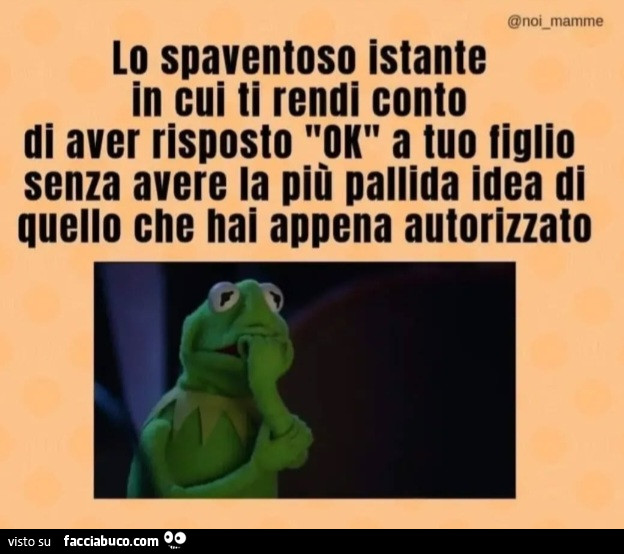Lo spaventoso istante in cui ti rendi conto di aver risposto ok a tuo figlio senza avere la piรน pallida idea di quello che hai appena autorizzato