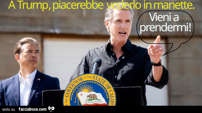 Gavin Newsom