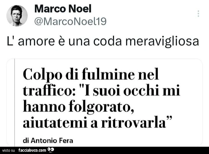 L'amore è una coda meravigliosa colpo di fulmine nel traffico: i suoi occhi mi hanno folgorato, aiutatemi a ritrovarla