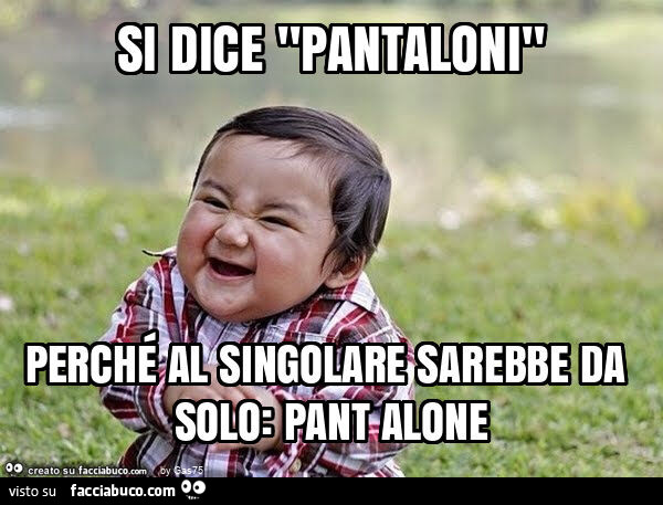 Si dice "pantaloni" perché al singolare sarebbe da solo: pant alone